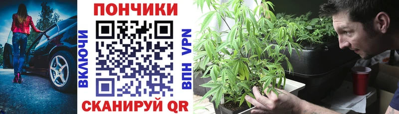 Наркошоп купить ГАШИШ Псилоцибиновые грибы Меф мяу мяу МАРИХУАНА Черногорск