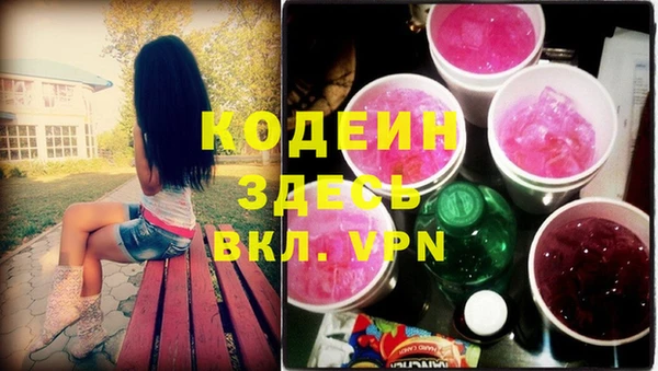 мдпв Осинники
