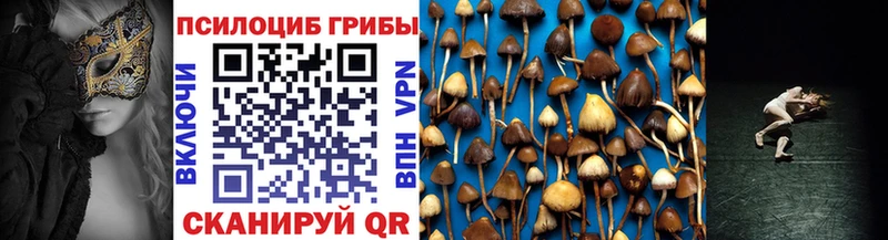 Псилоцибиновые грибы Psilocybe Купить закладки Черногорск